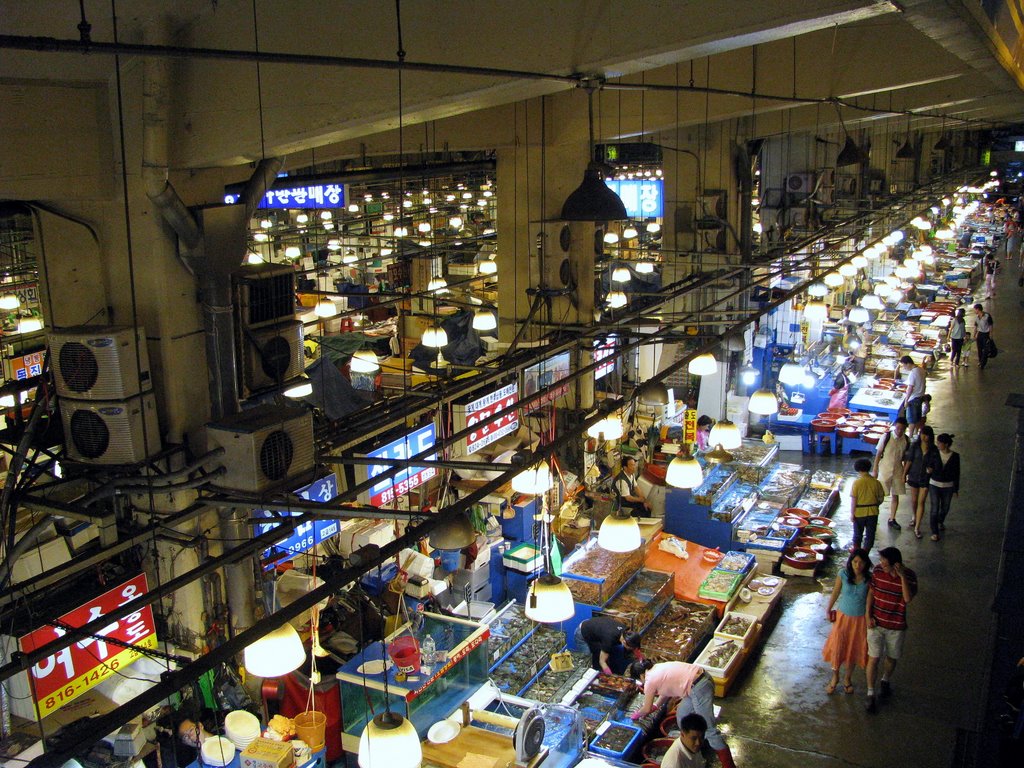 노량진 수산시장 inside NoRayngJin Marine Products Market (2008년7월) by rmdmlakdma2