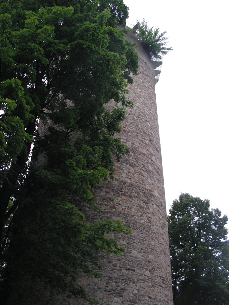 Csehország, Rožmberk nad Vltavou (Rosenberg an der Moldau), a vár (Hrad Rožmberk), SzG3 by szalay3