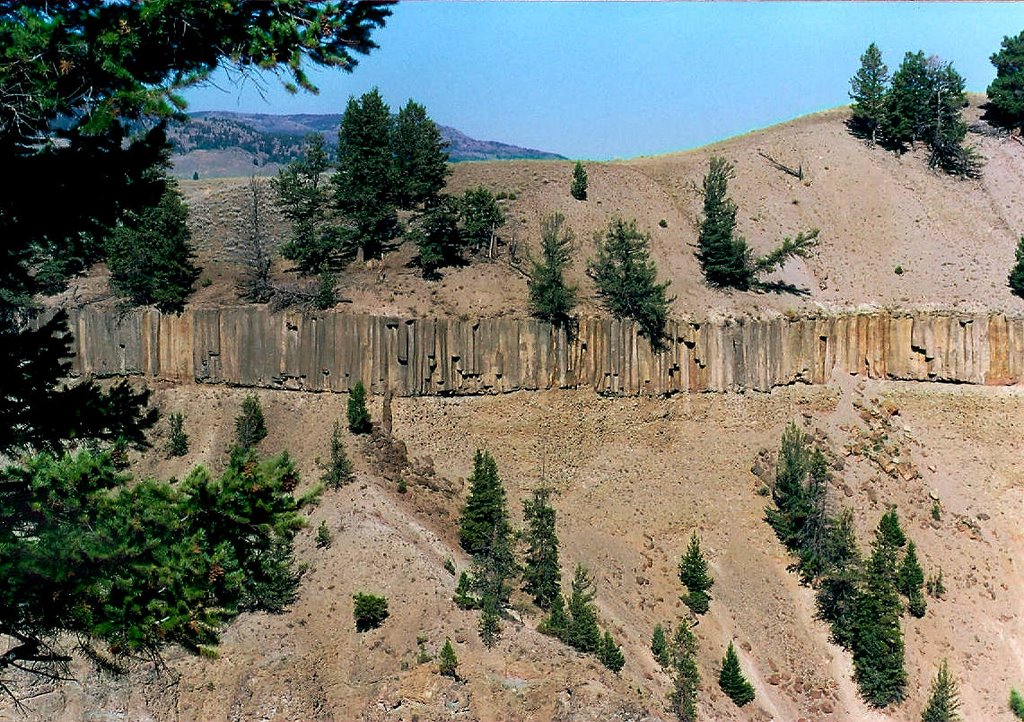 Basalt "fence" by little penguin