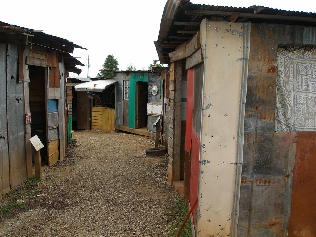 Habitat for Humanity Exhibit by hardendorf