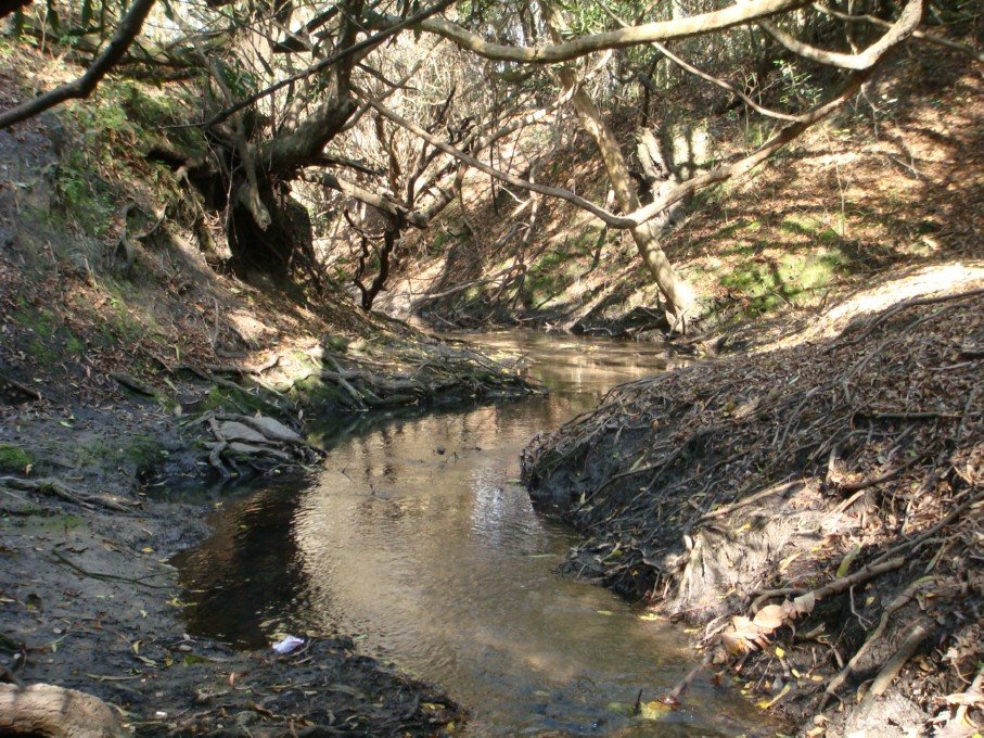 Pequeño arroyo serpenteando río abajo / Lautaro by Lautaro Tessi