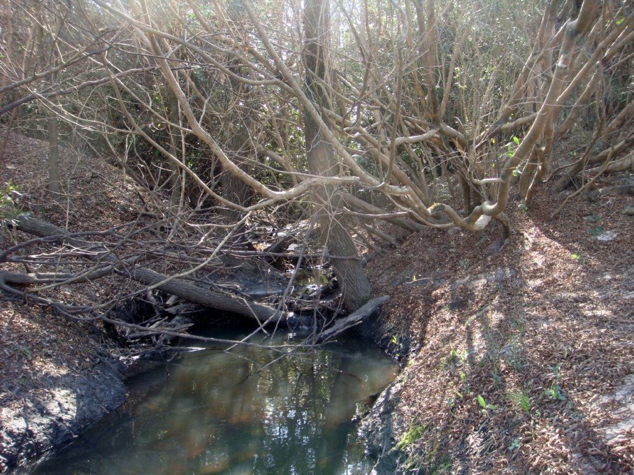 Desembocadura de arroyito en el arroyo El Palmar / Lautaro by Lautaro Tessi