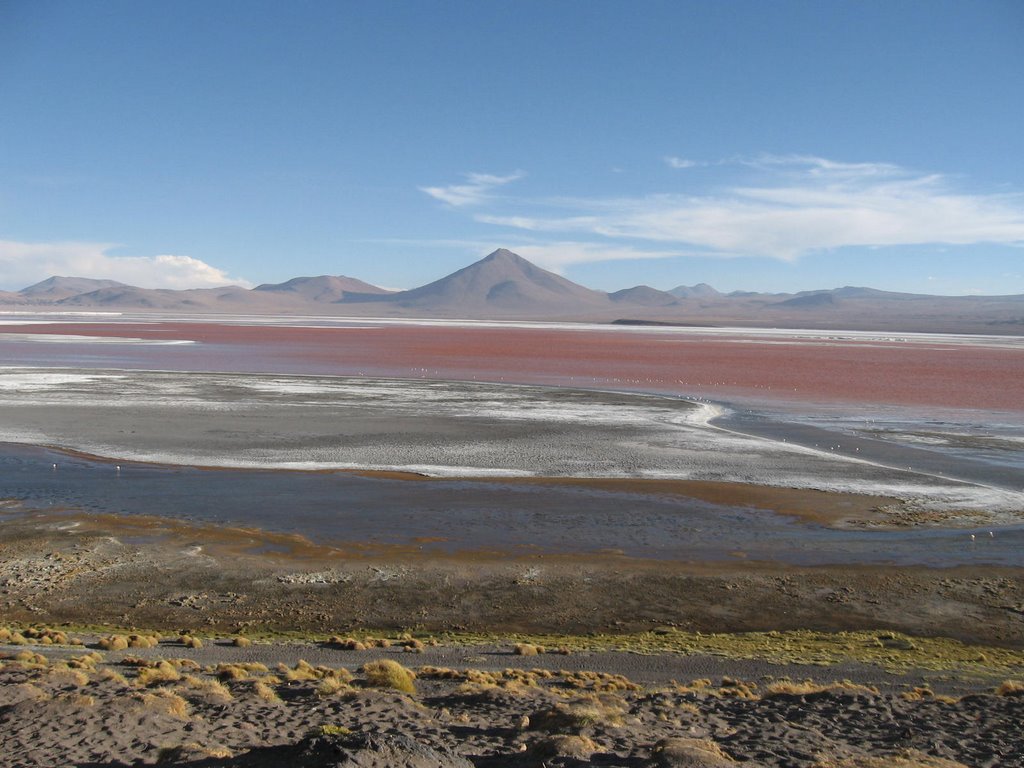 Laguna Colorada, Potosi, BO by Carlos Médici