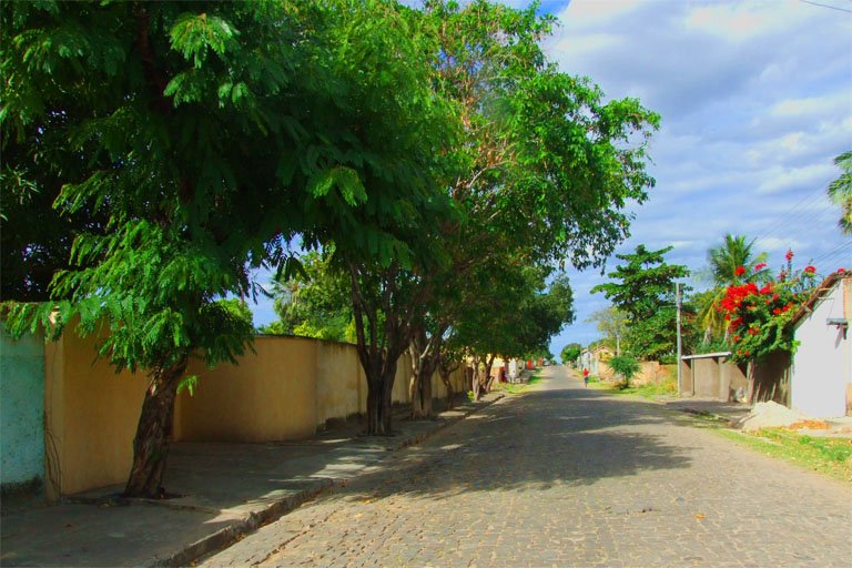 RUA DEFALA ATTEM - FLORIANO - PIAUÍ - wfm by walterfmota