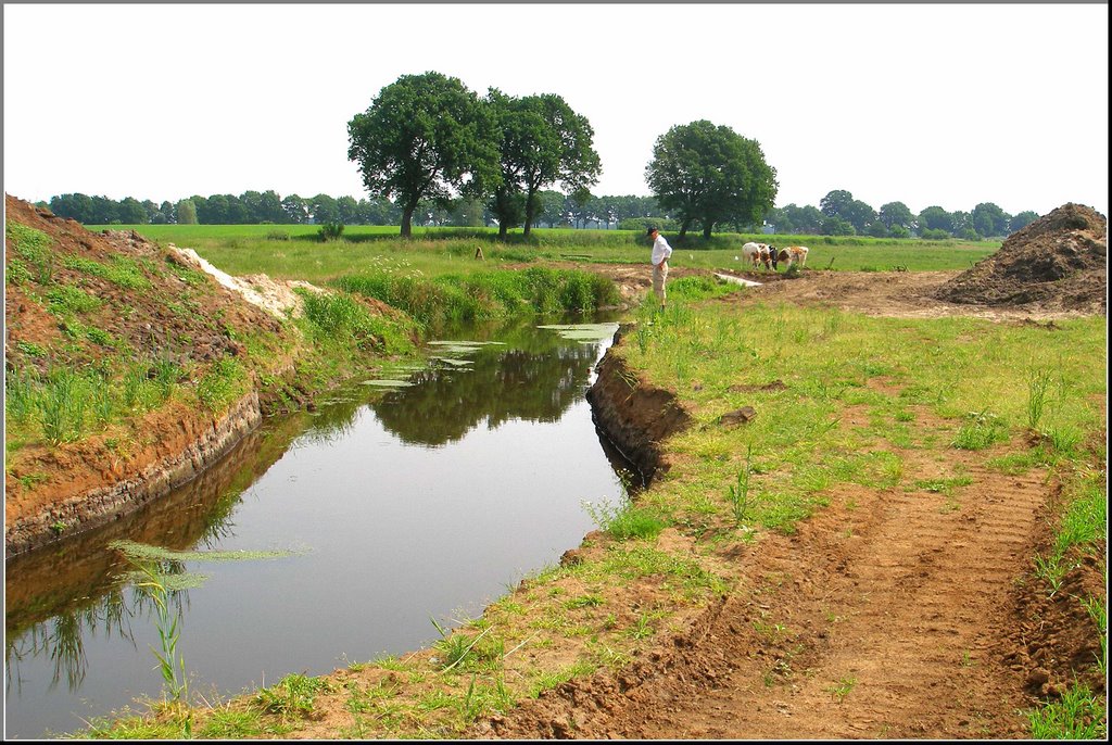 Planten en dieren verhuizen naar de nieuwe bedding van de Ruiten Aa, 2008 by Peter vd Berg vS