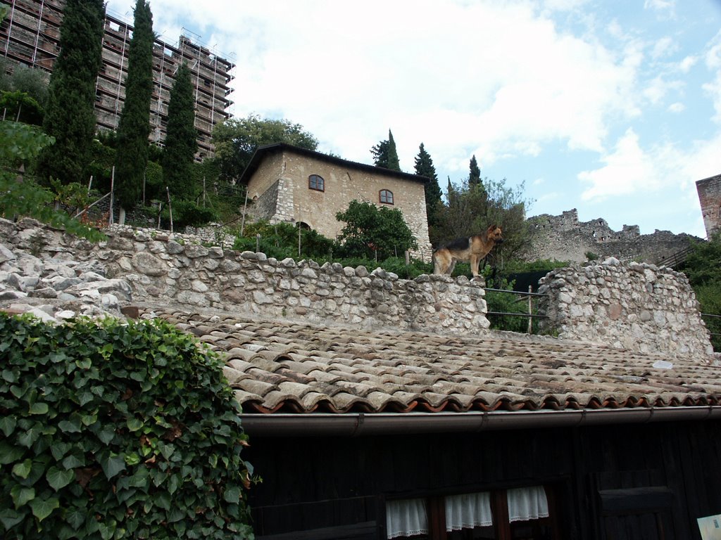 Interno del castello di Avio con sentinella by lucignolo60