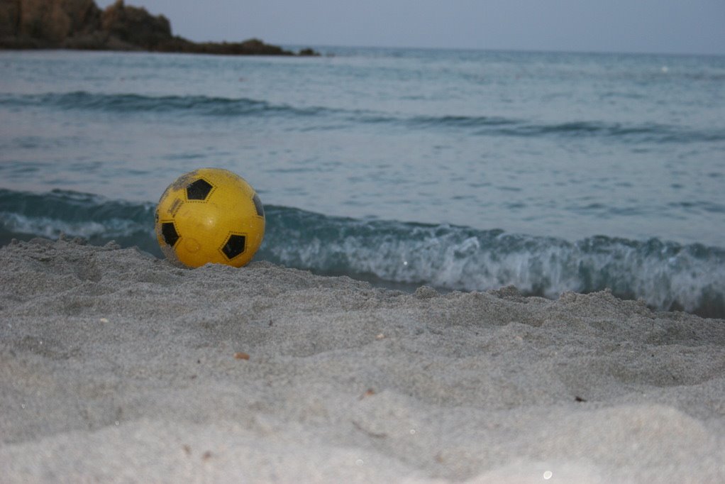 Stray Beach Ball by dean_butler