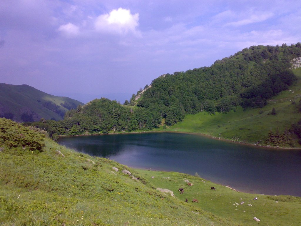 Pešića jezero by Marijan Marijanovic