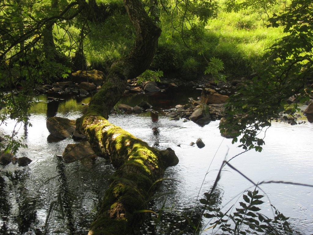 Near gilsland by dimwits