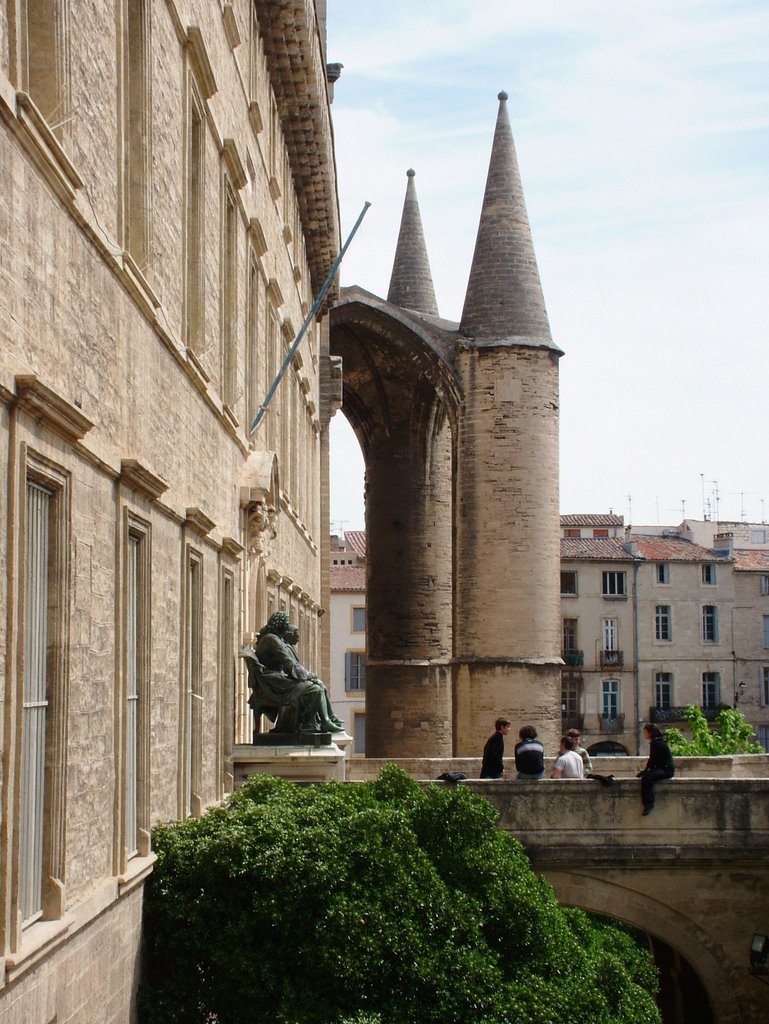 Catedral de Montpellier by The Pumkin King