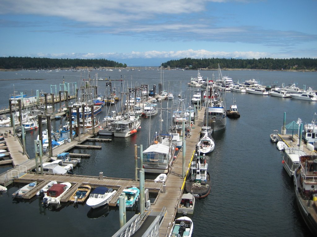 Nanaimo Harbour 7/18/08 by Chris Banks