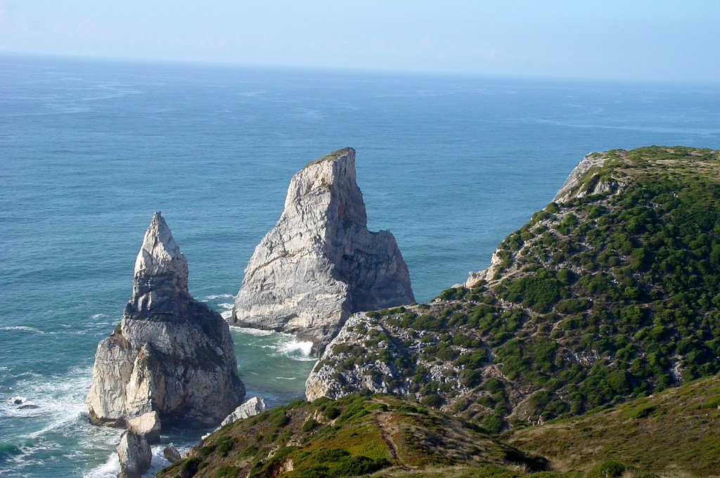 Vs.cabo da roca -ursa by vitor serra