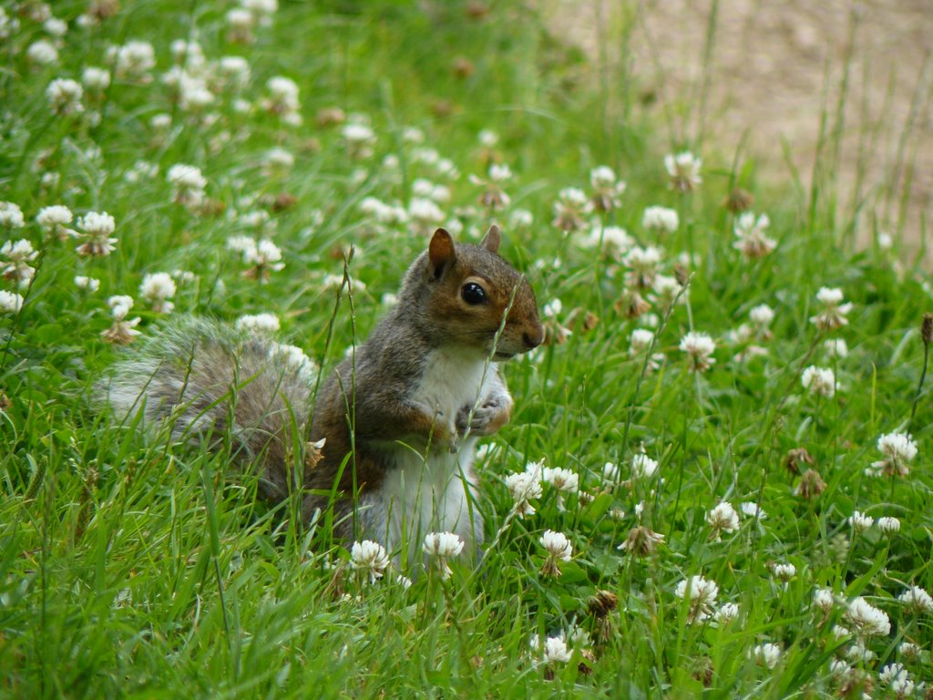 Another one in park by patrycja i rafal skrzekowscy