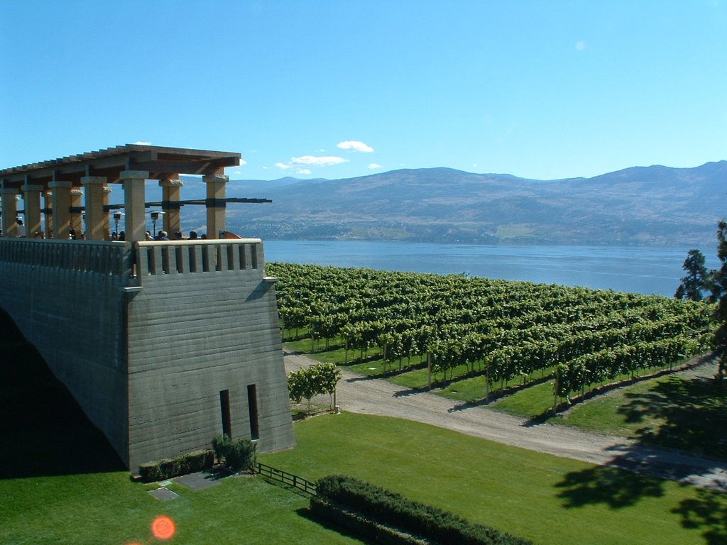 Mission Hill Winery, Kelowna, BC by Richard Forster