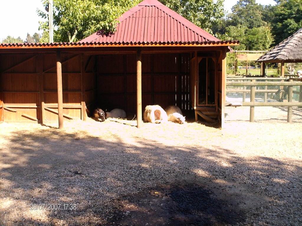 Animais - Quinta Zoo de Santo Inacio by eduardo_carvalho