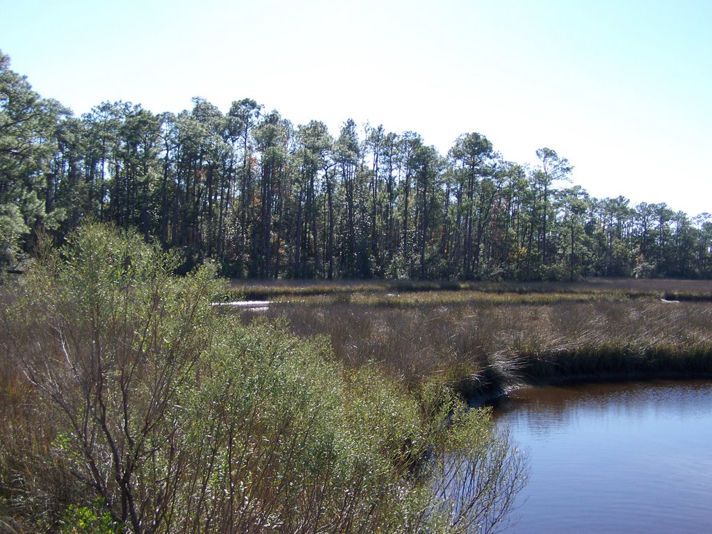 Davis Bayou by zacharystewart