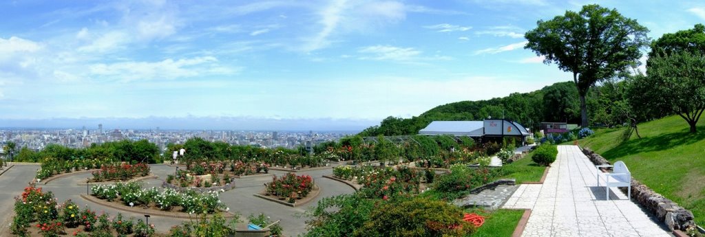 Chizaki rose garden by t-konno