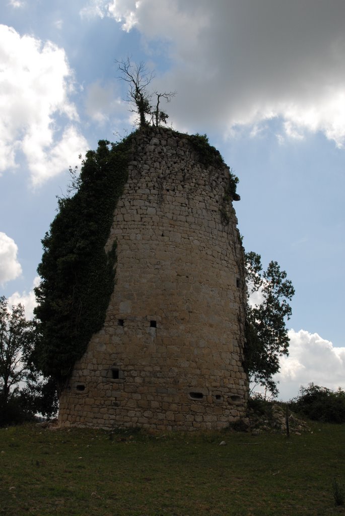 Chéronnac : tour ruinée 15è siècle by macrobert