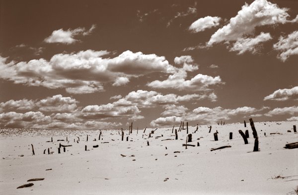 Stockton Beach by Eel-Jas