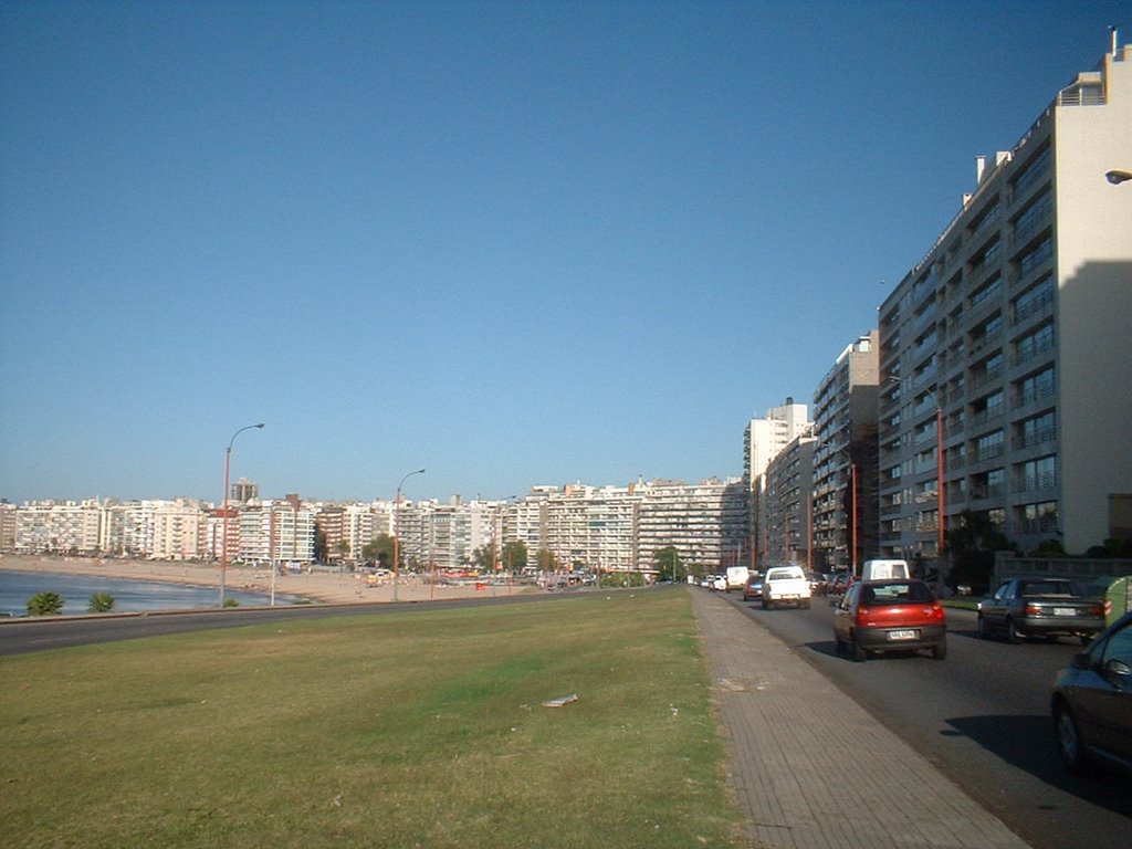 Rambla de by lautremont