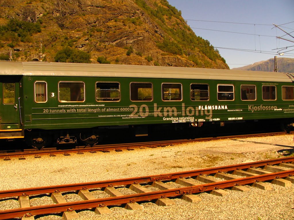 Le Train de Flam by pronoiaque