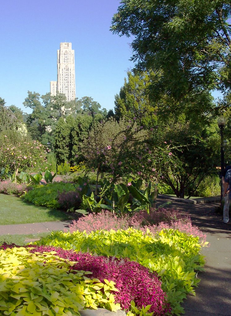 Cathedral of Learning from the gardens at Phipps Conservatory by LB1972