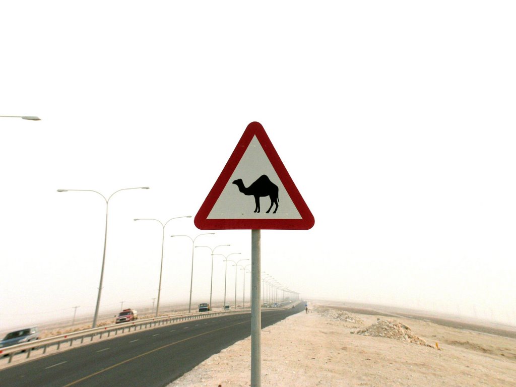 Camel Sign by A_ahmed