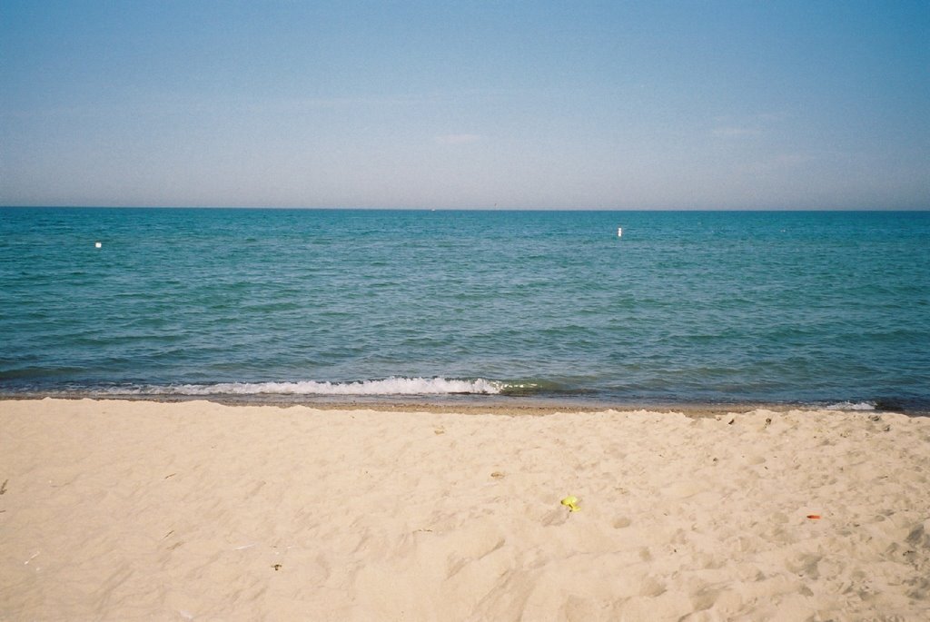 Warren Dunes State Park Michigan by David Cure-Hryciuk