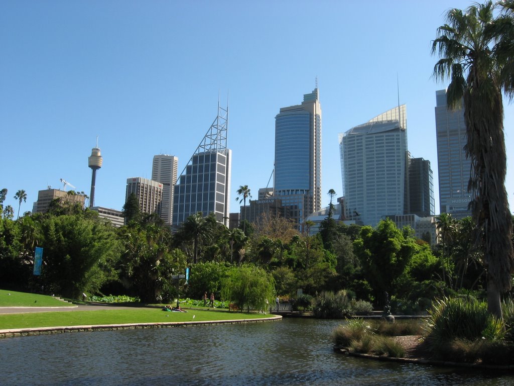 Sydney Skyline by s772