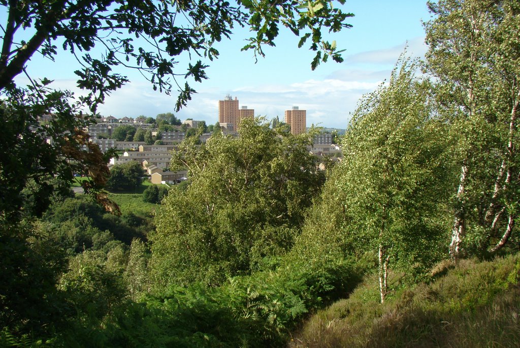 Stannington high rise from Rivelin, Sheffield S10/S6 by sixxsix