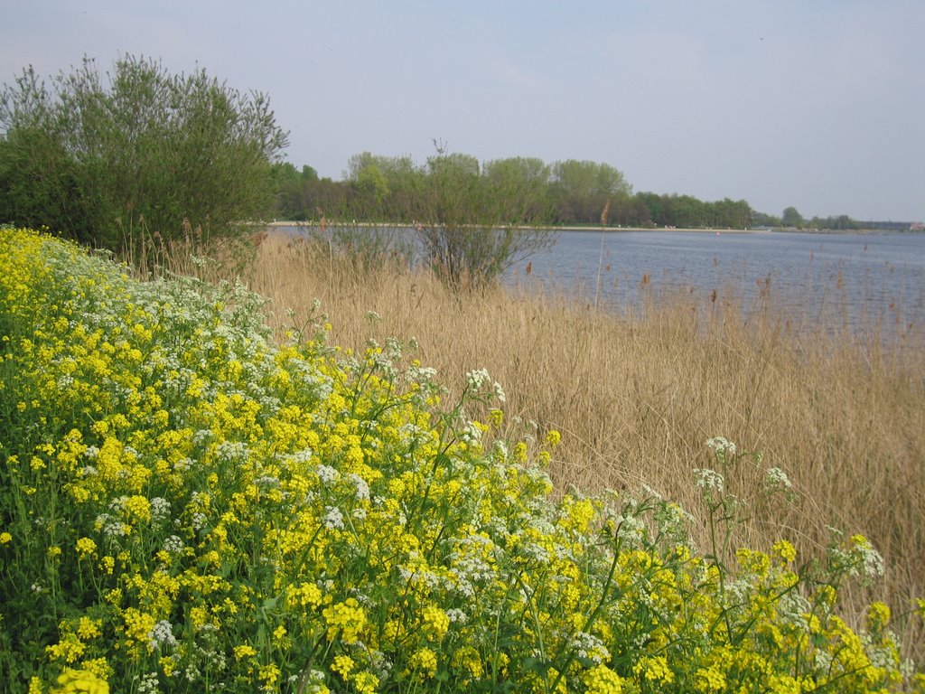 Zoetermeer, Netherlands by Jasdg