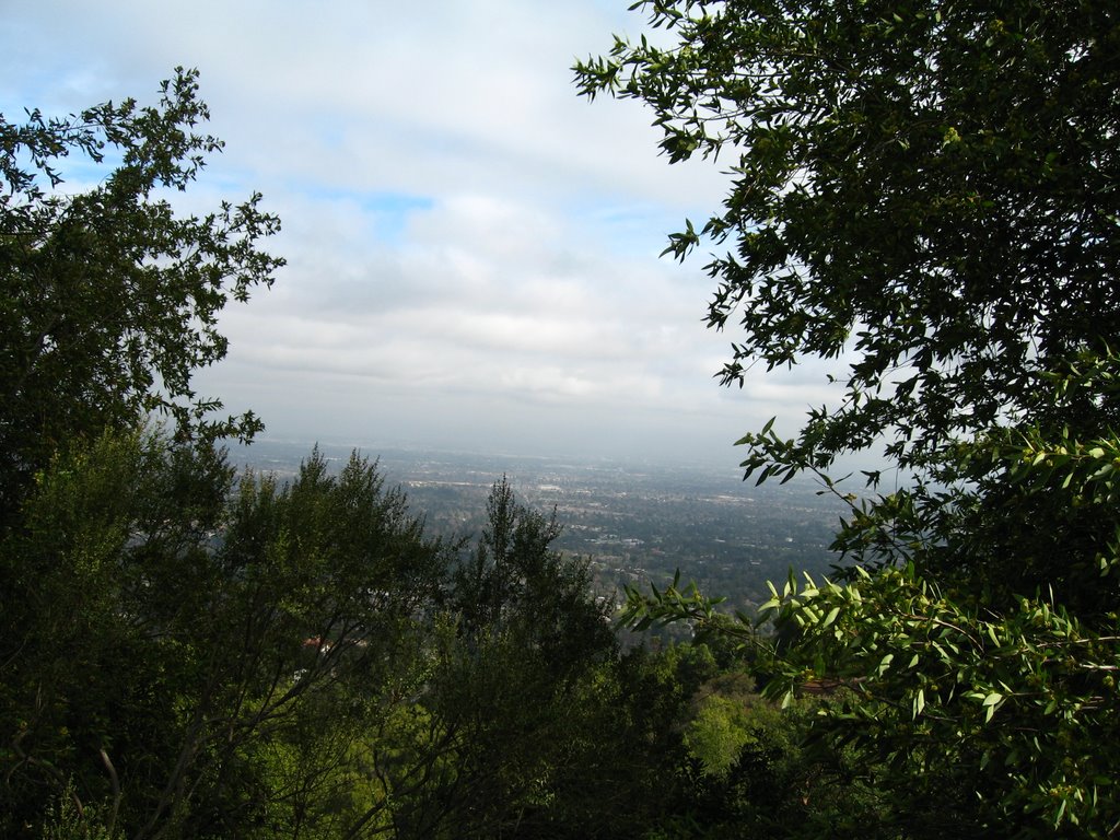 View from the hills above Saratoga, CA by mariekeev