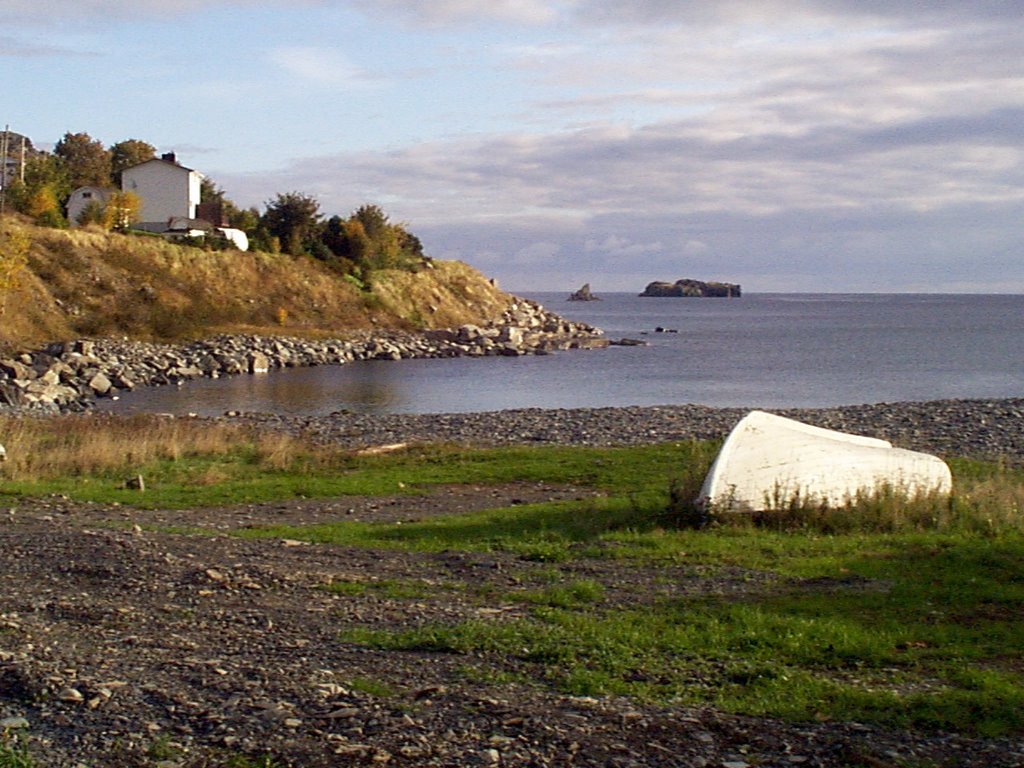 Carbonear waterfront, Newfoundland by Noel Loveys