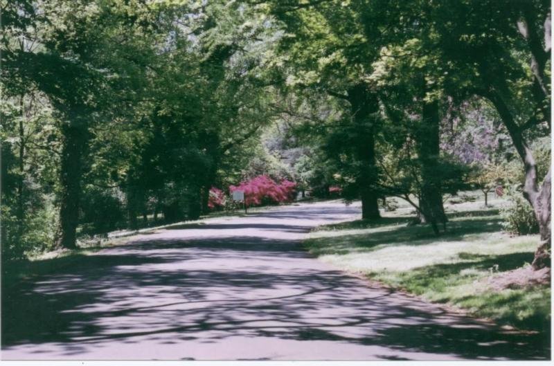 Walking Path,Horticultural Gardens by Art Davis