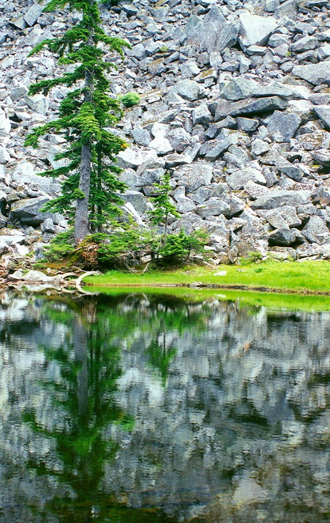 Barclay lake by Greg W