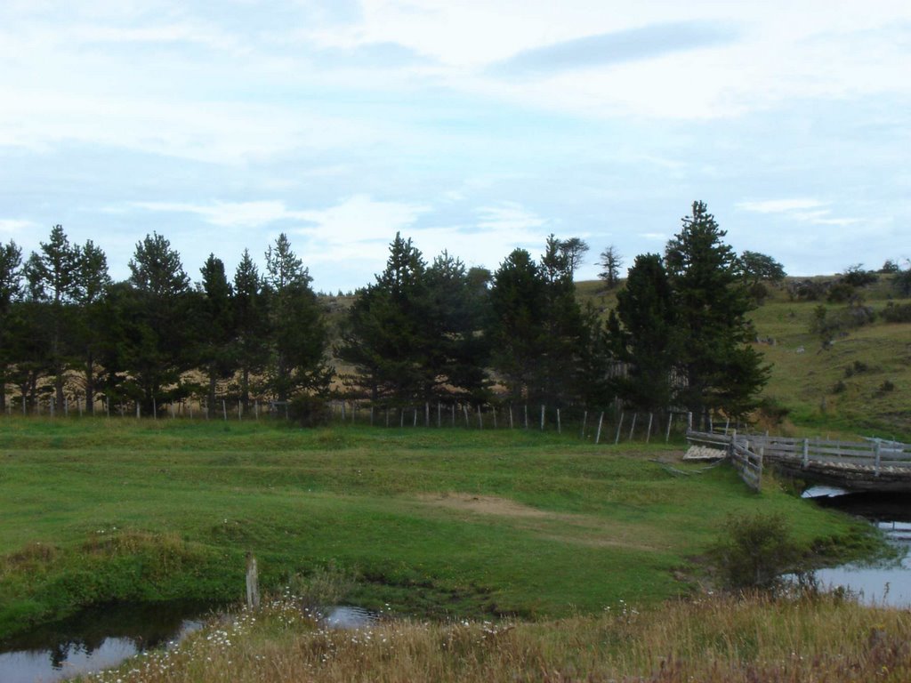 Bosque _vista Noroeste by Lagocardiel