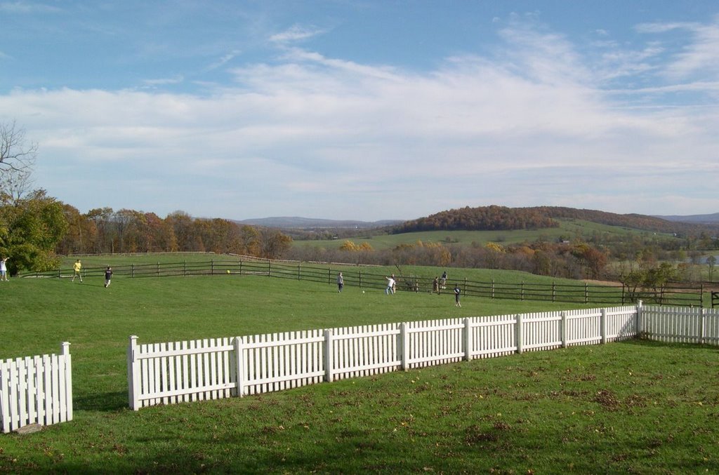 View From Mount Bleak House by Cinza