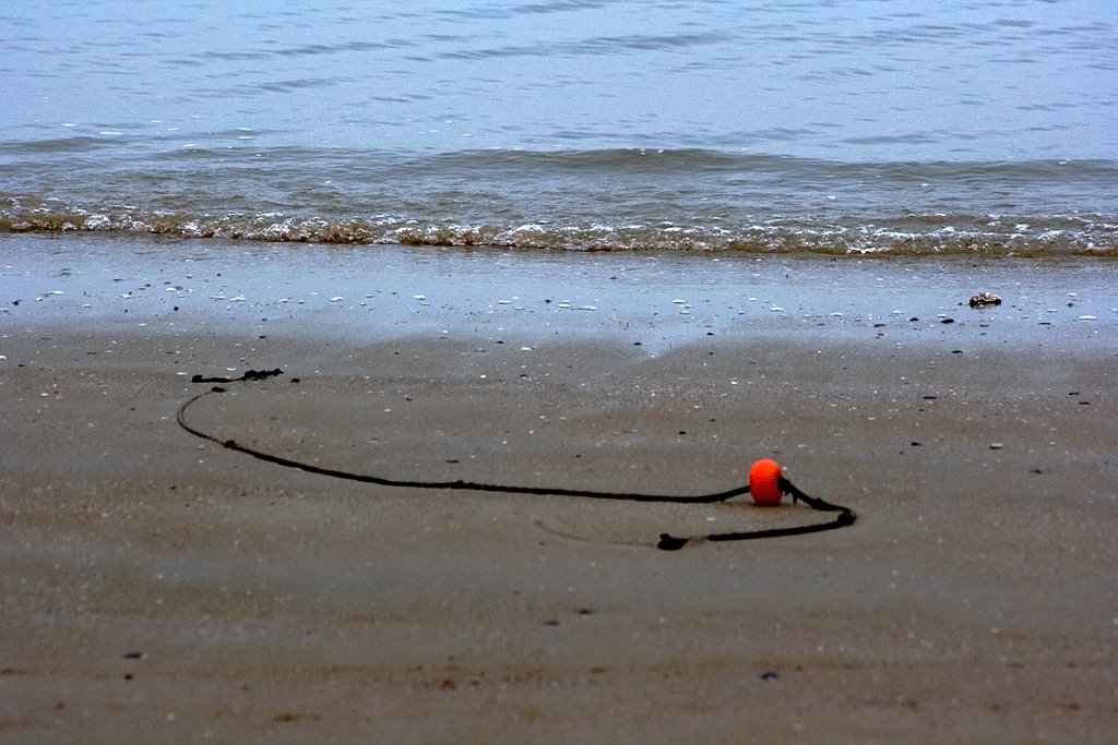 Mare d'inverno by fabrizio berni