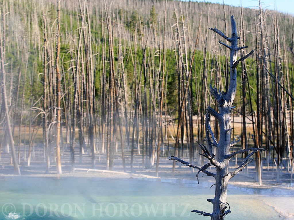 Trailhead Norris Geyser Basin by CarmelH