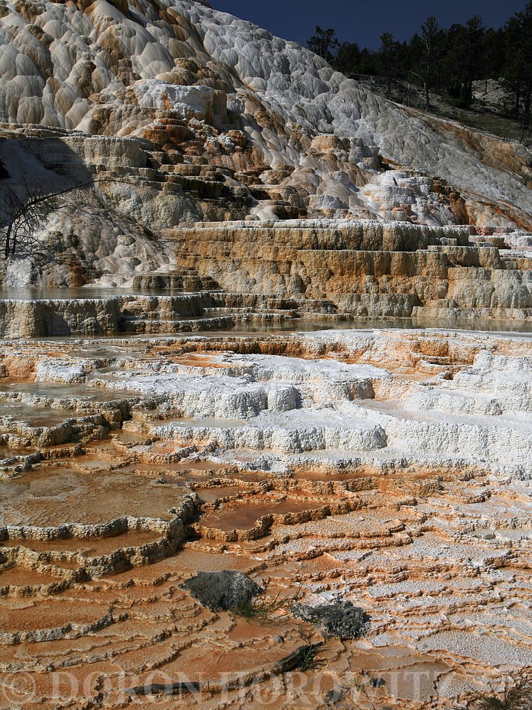 Mammoth Hot Springs by Carmel Horowitz