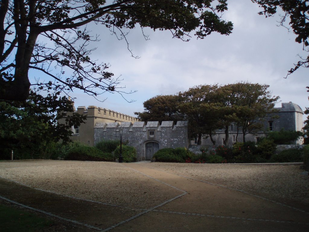 Portland Castle. by aslanman