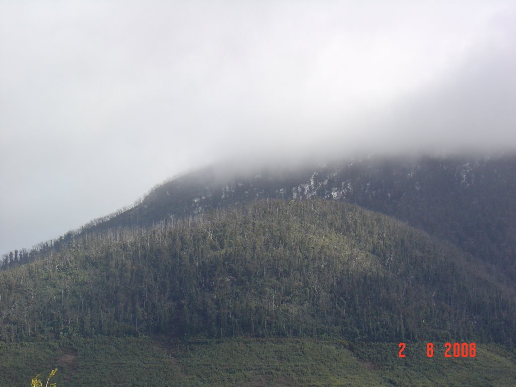 Mt Coree (from Brindabella Rd) by V.J. Munslow