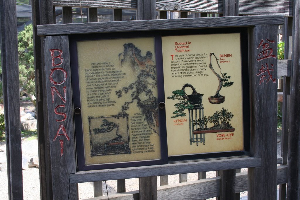 Bonsai Sign by Scott Hanko