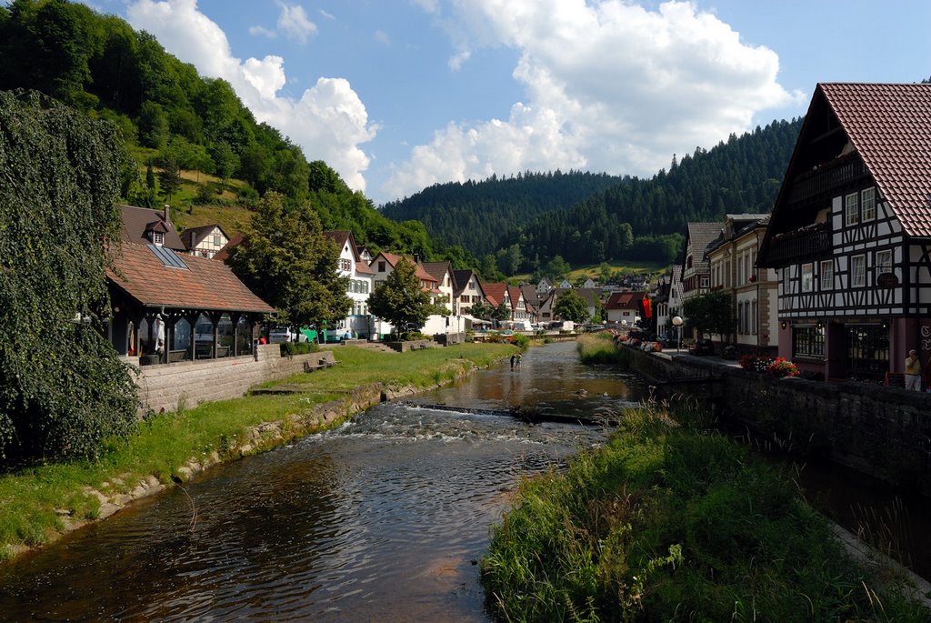 Fluss Schiltach by aball