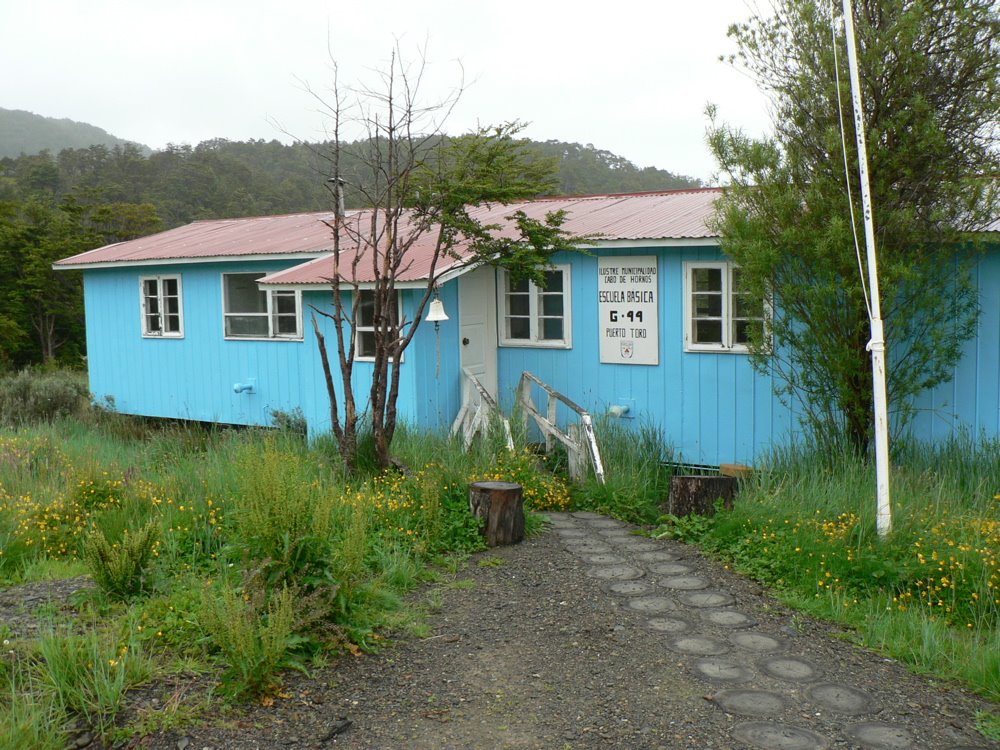 Escuela Basica, Puerto Toro by Frank Holden