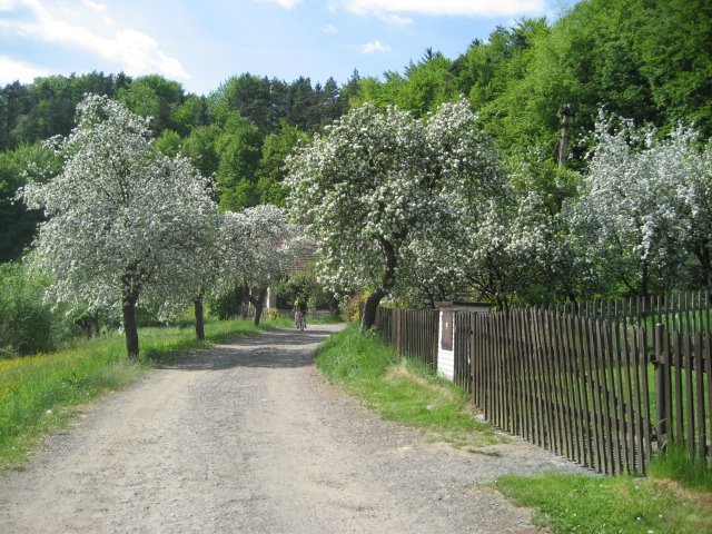 Věžák 2008 by Ivan Chromy