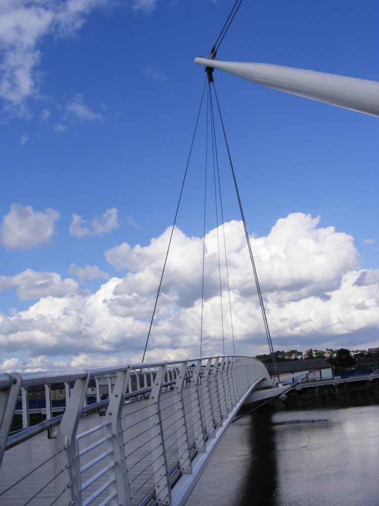 Footbridge to nowhere? by Nigel Desmond