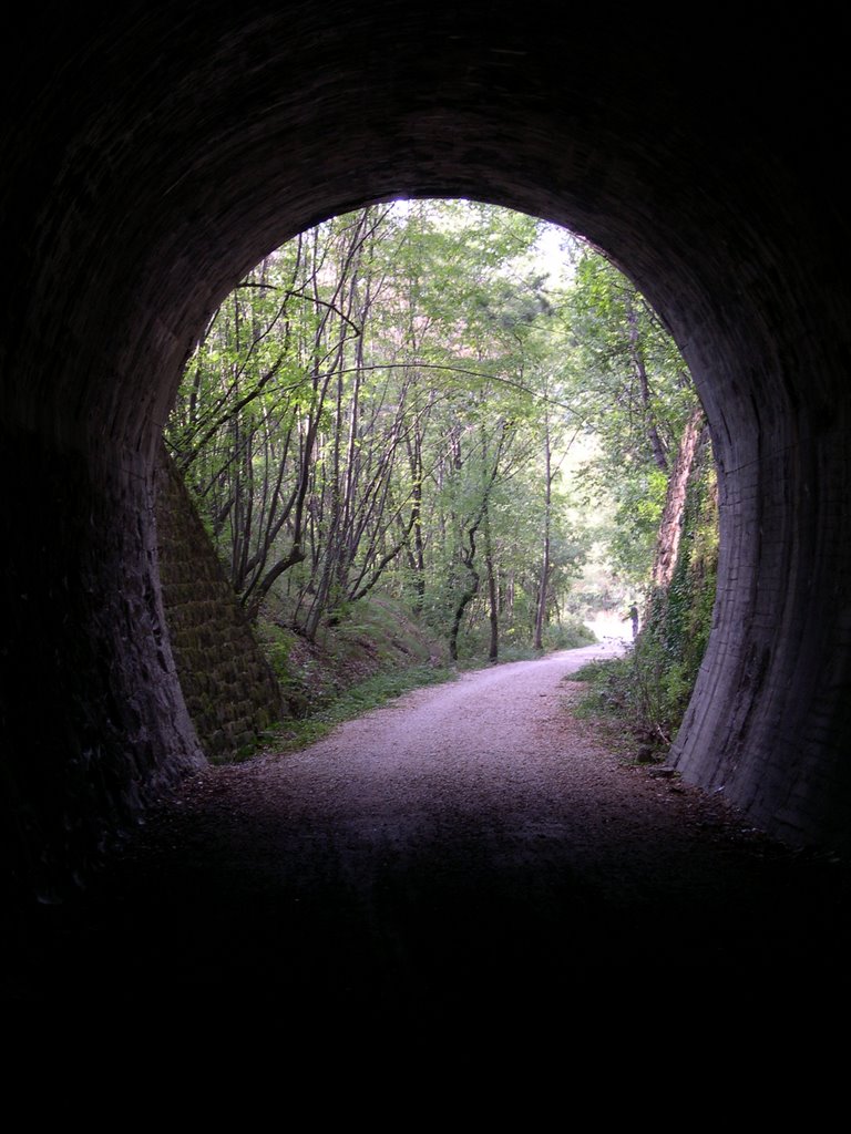 Ingresso di (e vista da) una delle gallerie della pista ciclabile (ex ferrovia) by Eric Medvet