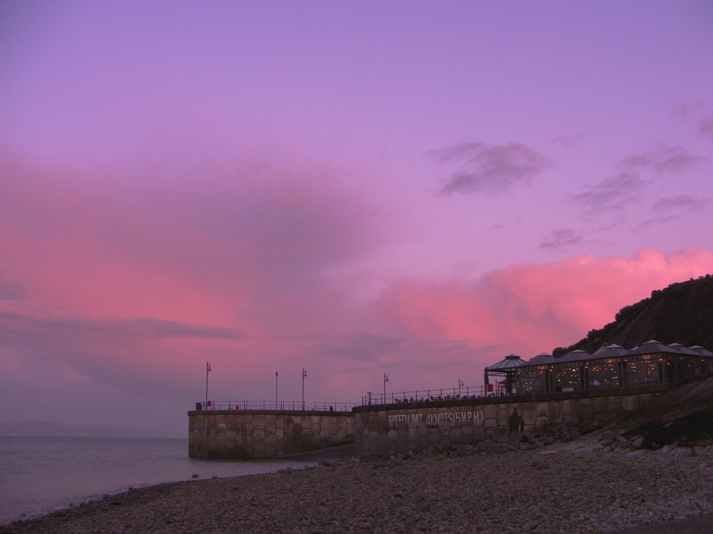 Mumbles at the end of the day by Nigel Desmond