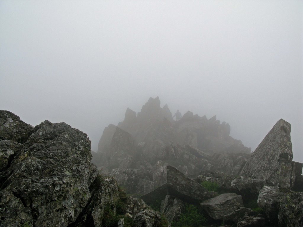 Sharks teeth on Swirral Edge by SteWood